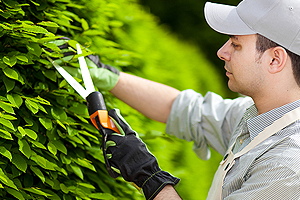 kertgondoz�s Balatonszemes